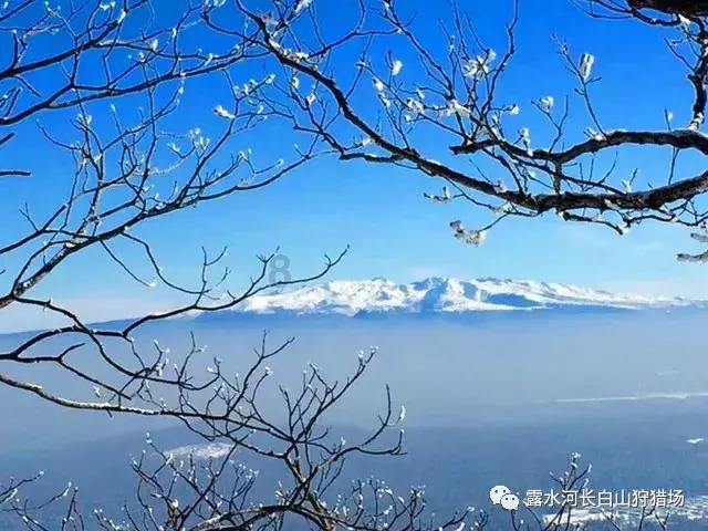 脑洞小老弟无实名认证